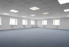 Epping Forestskylights-3.jpg; ?>